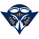 伯瑞沙大学