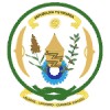 尤尼蒂
