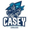 丹德农遊骑兵女篮