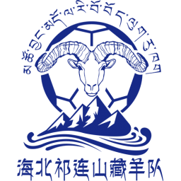 玉树牦牛队